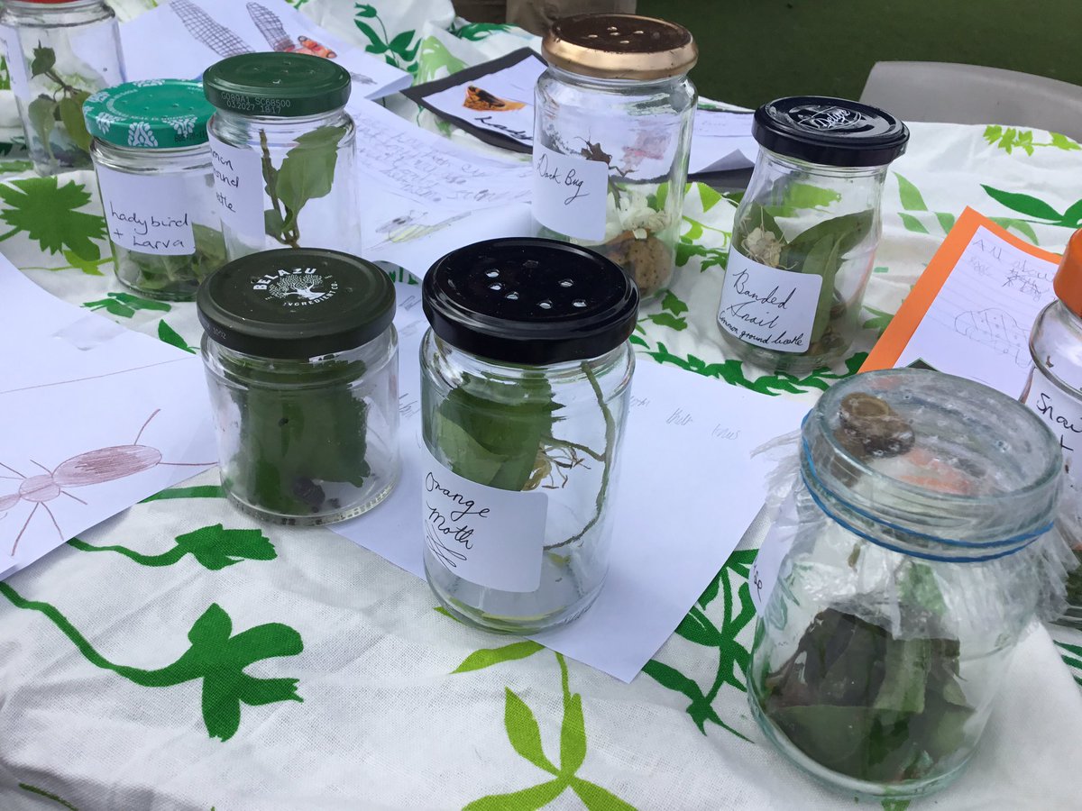 Felix held a “Minibeast Sale” to raise awareness about mini beasts, to increase biodiversity in the school grounds and to collect money for our PTA. We love how he’s taken his passion to make a difference to others and our environment. <a href="/DGATSCHOOLS/">DGAT</a> #courageousadvocacy