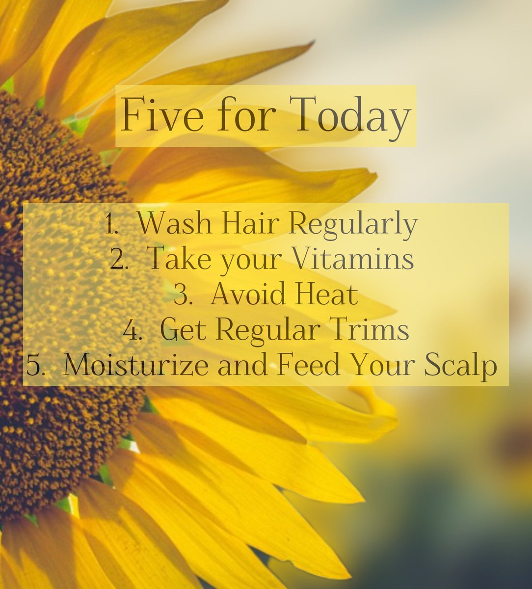 AsabiHair's tweet photo. #haircare #hair #beautifulhair
#comeandsee #goodfoodforgoodhair https://t.co/jjSmt0GqMO