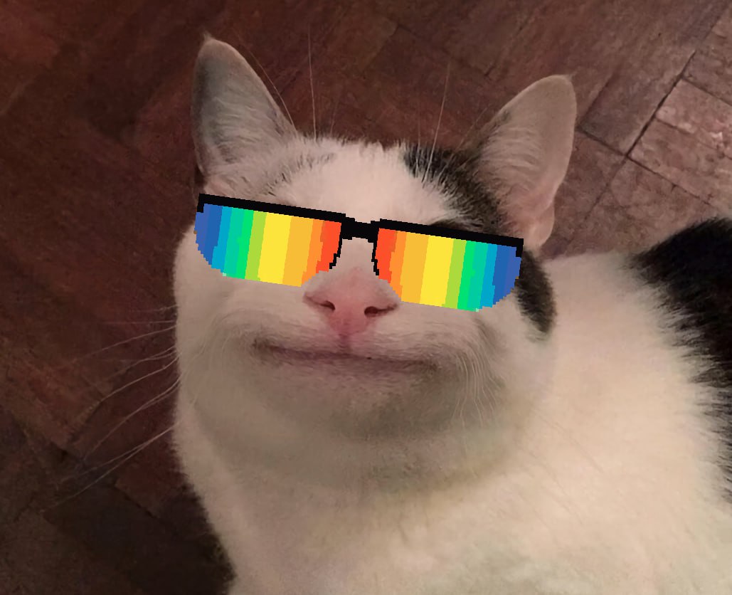 belugadave2000's tweet photo. @CryptoPablx @POPCATSOLANA @News_Of_Alpha $BELUGA will flip popcat! https://t.co/Z7JNVjx4w6