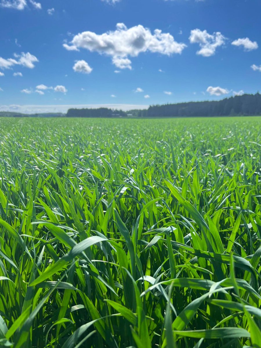 Minna-Mari Purtsi-Toimi ~ Minnis tweet media