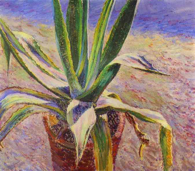BorisovMusatov's tweet photo. Agave https://t.co/ImMOzginGX https://t.co/tHnm9XNXRM