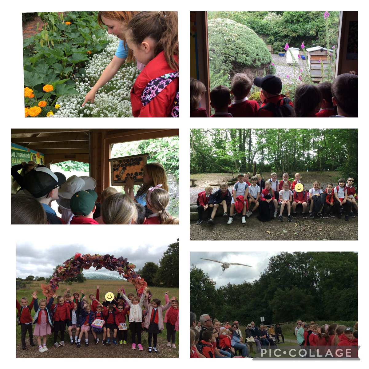 Tondu Primary School (@tonduprimary) on Twitter photo Diolch yn fawr <a href="/walesbotanic/">🏴 Gardd Cymru 🌿 Garden of Wales</a> for having #LlynfyTPS and #GarwTPS visit you yesterday for an interesting bees workshop and birds of prey display. #authenticlearningexperiences Diolch yn fawr <a href="/walesbotanic/">🏴 Gardd Cymru 🌿 Garden of Wales</a> for having #LlynfyTPS and #GarwTPS visit you yesterday for an interesting bees workshop and birds of prey display. #authenticlearningexperiences