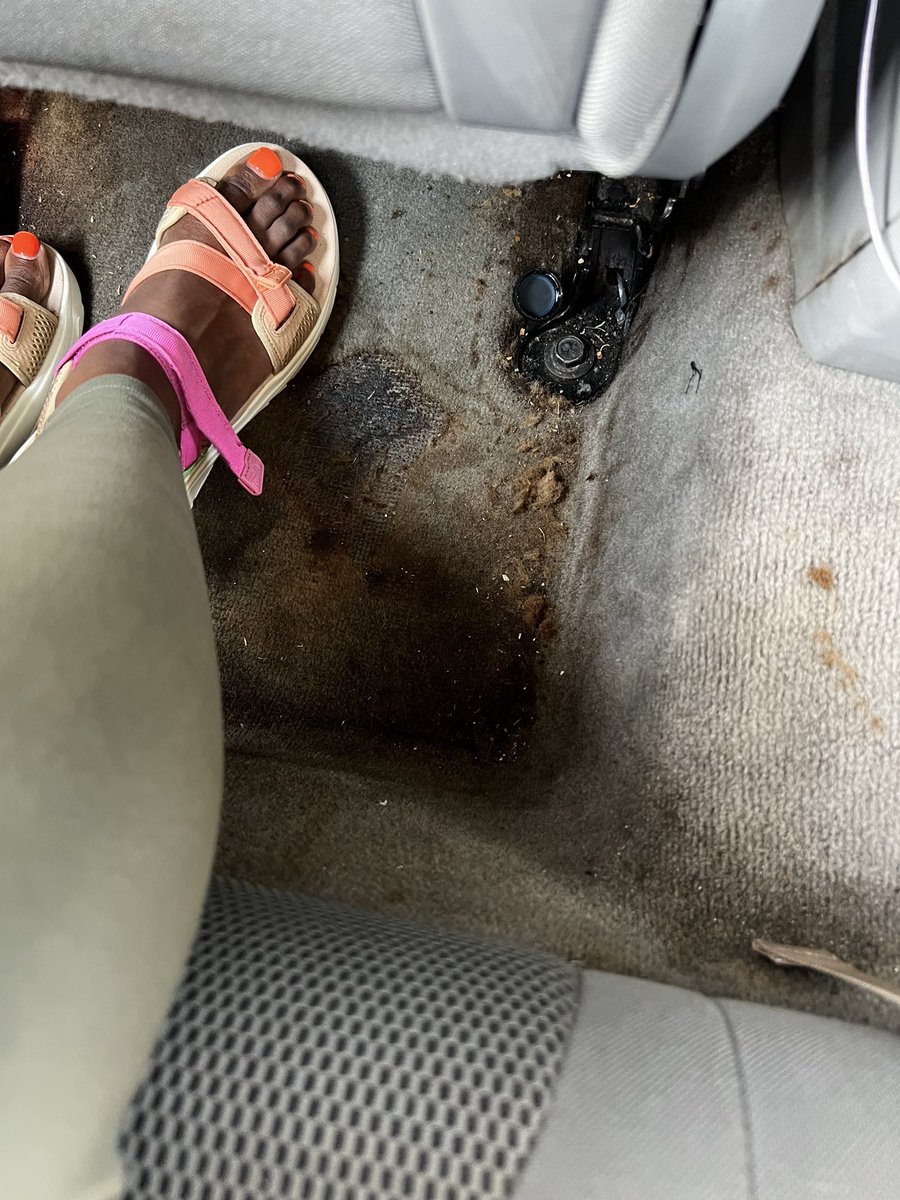 Naturally_Nique's tweet photo. @lyft this is how you allow your passengers to ride. This is absolutely disgusting! There is no option to get my money back, this ride to the train station so I didn’t have the opportunity to cancel this ride. Dead bugs and nasty stains all over the vehicle. #lyft #rideshare https://t.co/0ywkE7kuZC