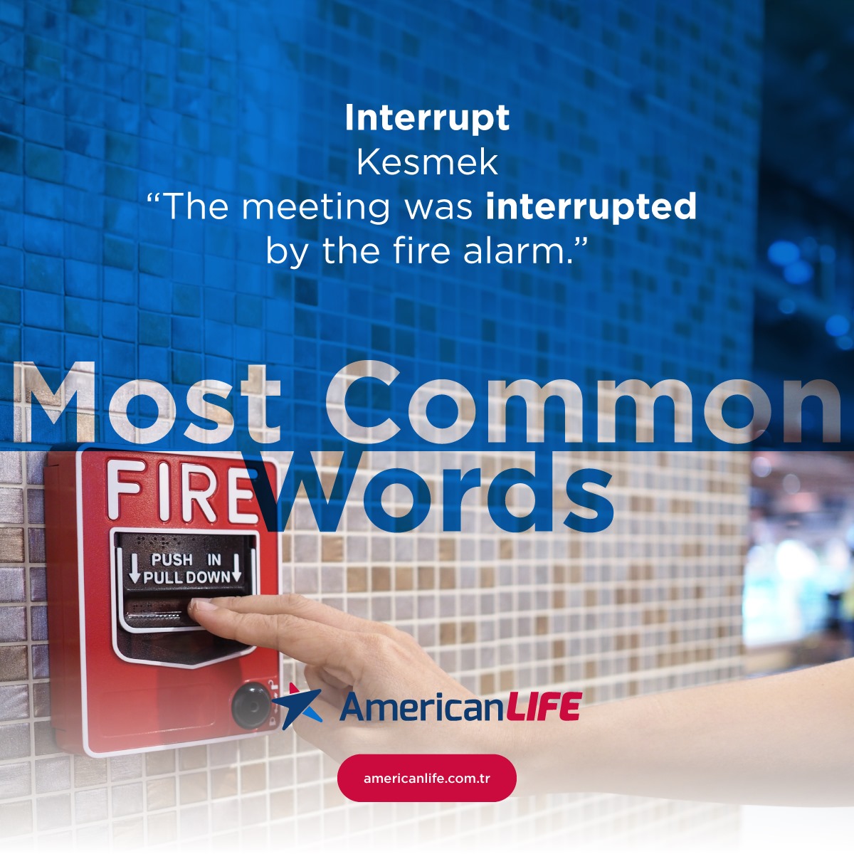 alifeadana's tweet photo. ▫Interrupt
▪Kesmek
#mostcommonwords #ingilizce #ingilizcekursu #dilkursu #dilokulu #englishforbeginners #americanlifedilokullari #americanlifeadana #adanaingilizce #adanayabancıdil #adana https://t.co/dbigmJwVM2