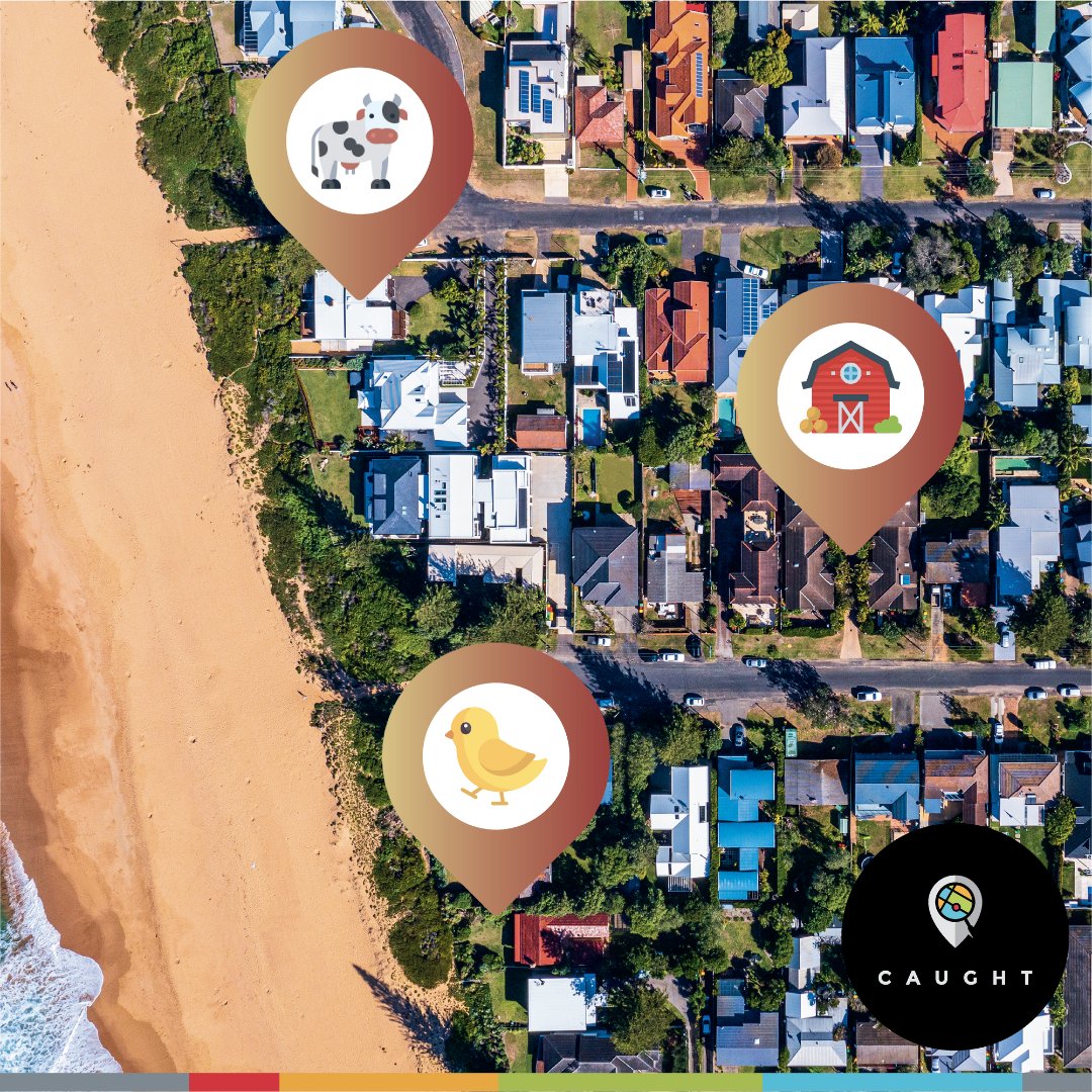 caught_apps's tweet photo. RESORTS &amp; HOLIDAY PARKS 🏝️
A digital tour of your resort or park?
Or a fun treasure hunt for children?
Both indoor and outdoor locations can be part of this voyage of discovery
#Caught #PoweredByCaught #CatchTheLocation #LocationBasedApps #LocationBased #Location #Platform #App https://t.co/UWeJ4XNUfi