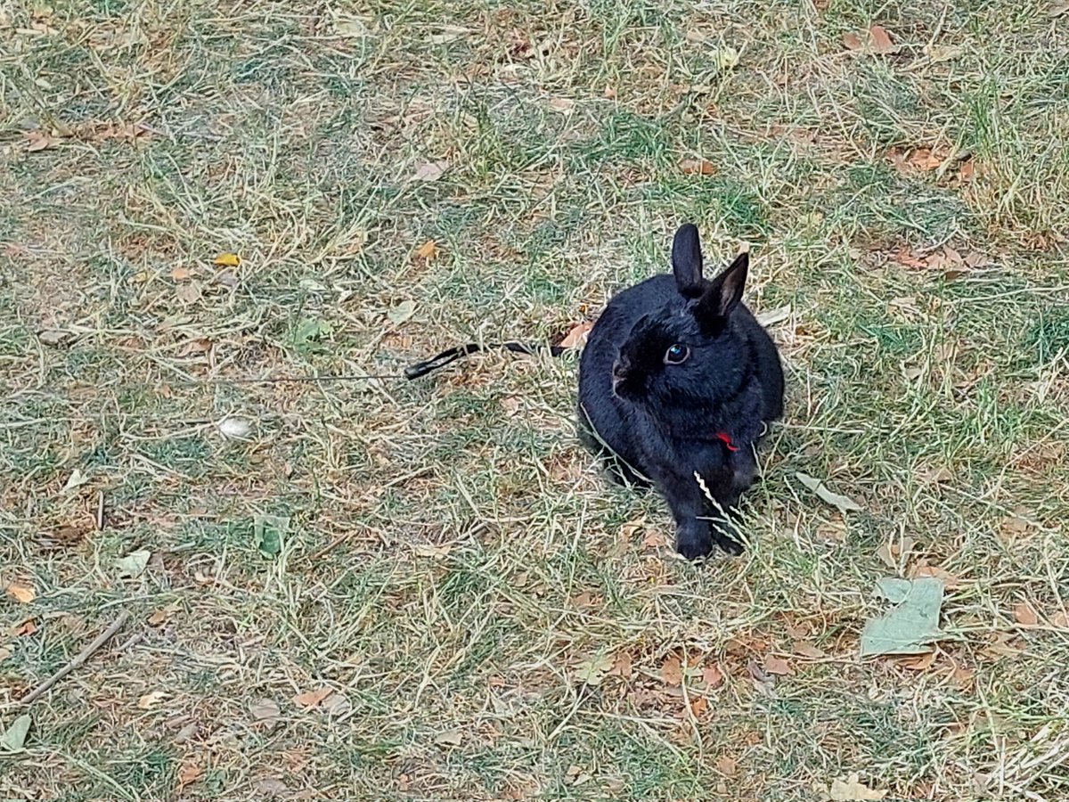 massinfabien's tweet photo. Coucou🐰 https://t.co/vasnmTp5Q7