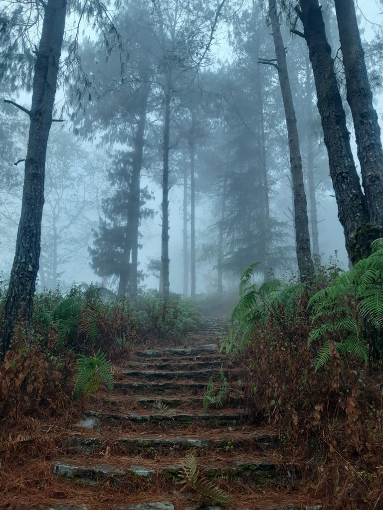 surendrathinks's tweet photo. स्याङ्जा, सिरुबारी भन्दा माथी टावर जाने बाटोमा। https://t.co/THz7FwiB5J