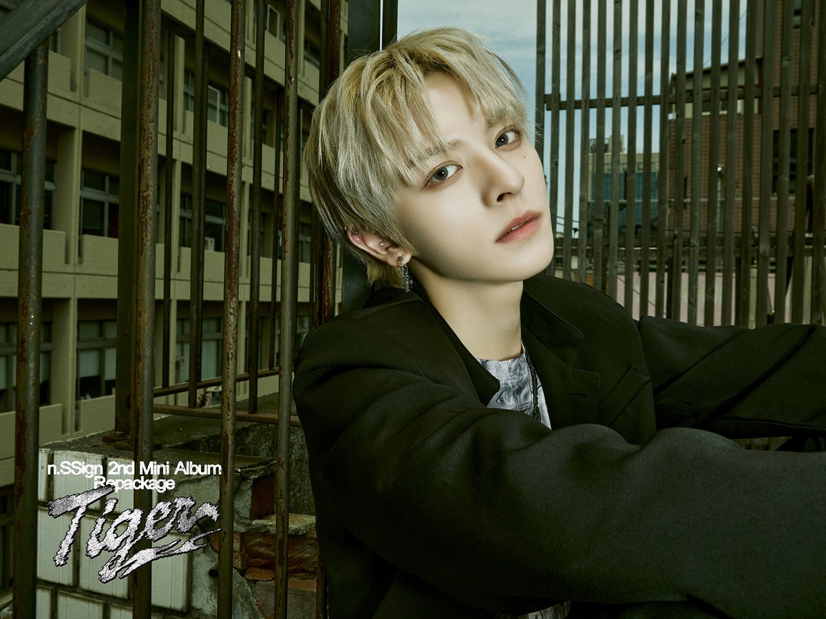 nSSign_official's tweet photo. n.SSign 2nd Mini Album Repackage ‘Tiger’ 

CONCEPT PHOTO #Tiger
#로렌스 #LAURENCE

🐯 2024.07.18 6PM Release

#nSSign #엔싸인 #Repackage
#Tiger https://t.co/TMPXACQcjU