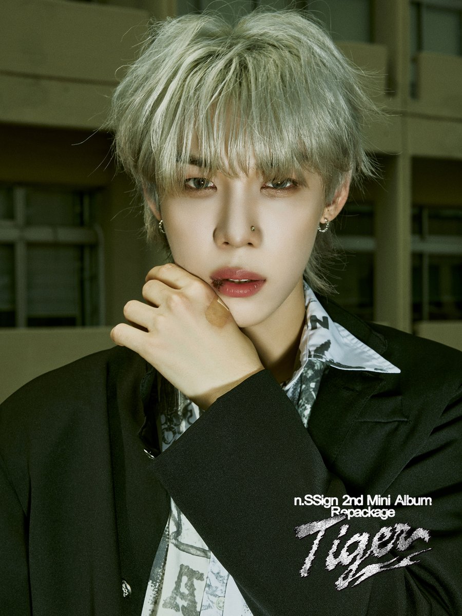 nSSign_official's tweet photo. n.SSign 2nd Mini Album Repackage ‘Tiger’ 

CONCEPT PHOTO #Tiger
#로빈 #ROBIN

🐯 2024.07.18 6PM Release

#nSSign #엔싸인 #Repackage
#Tiger https://t.co/lV5nT2mJty