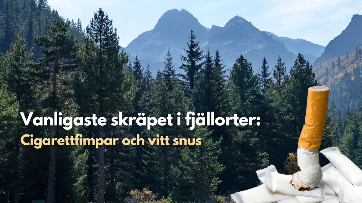 nonsmoking's tweet photo. 🏂️ Projektet #Hållfjälletrent av @HallSverigeRent och @skistar avslöjar: vitt snus och cigarettfimpar är det vanligaste skräpet i fjällorter.

⚠️ Hela 77 % av prillorna som hittades på marken i år var vitt snus. Tobaksföretag måste hållas ansvariga.

https://t.co/gHmjBw7vbk https://t.co/QYY82Emymc