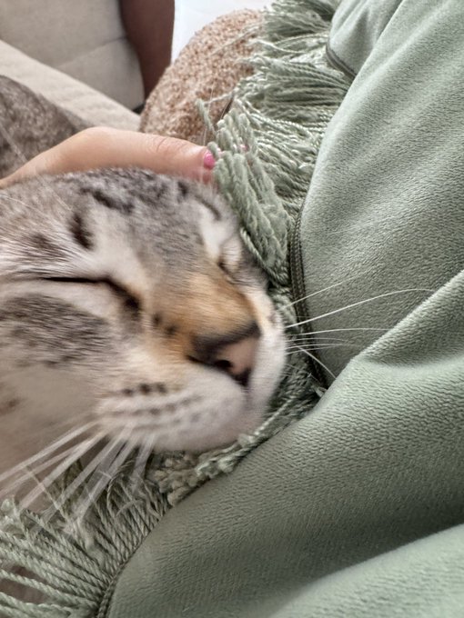 July 🌞 https://t.co/gqbBlks0OV