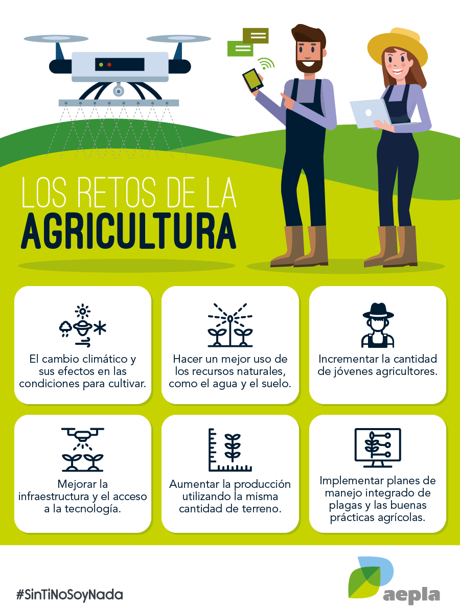 aepla_asoc's tweet photo. Nuestra #agricultura 🚜🌱 debe enfrentarse a toda una serie de retos actuales y futuros.
 
Y, para ello, será esencial poner en práctica todos los medios a nuestro alcance para contribuir a mejorar su competitividad y #sostenibilidad 🌍💚

#SinTiNoSoyNada https://t.co/D4qM6yxxtB