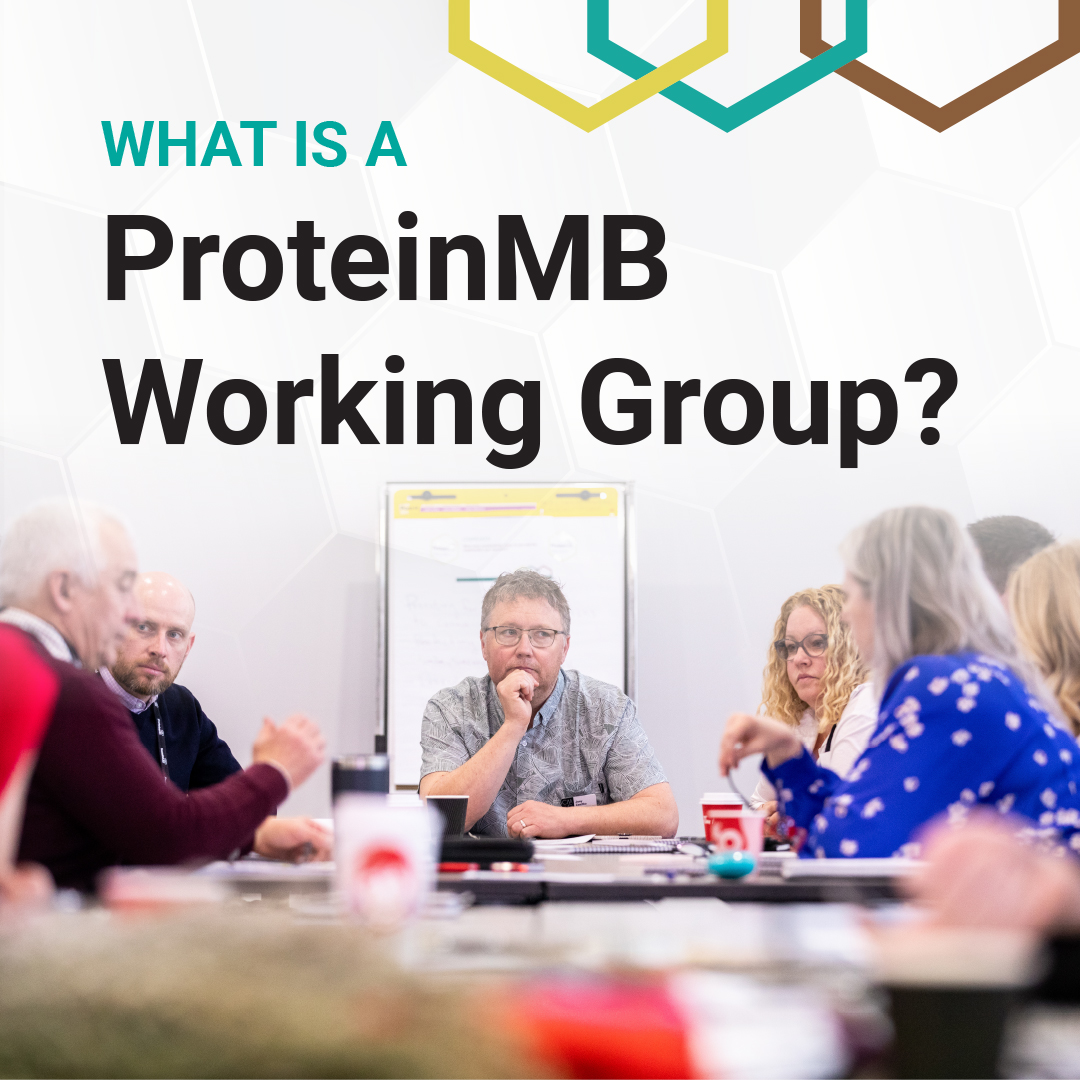 ProteinMB's tweet photo. Working Together is at the core of what we do. Our Working Groups are collaborative initiatives formed to tackle specific issues and opportunities that advance the MPA Action Framework.

Join us in shaping the future of sustainable protein in Manitoba! https://t.co/YKQkbeOCVQ https://t.co/W6w84DtI2c
