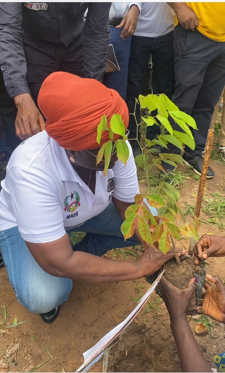 Ministerio da Agricultura e Desenvolvimento Rural tweet media
