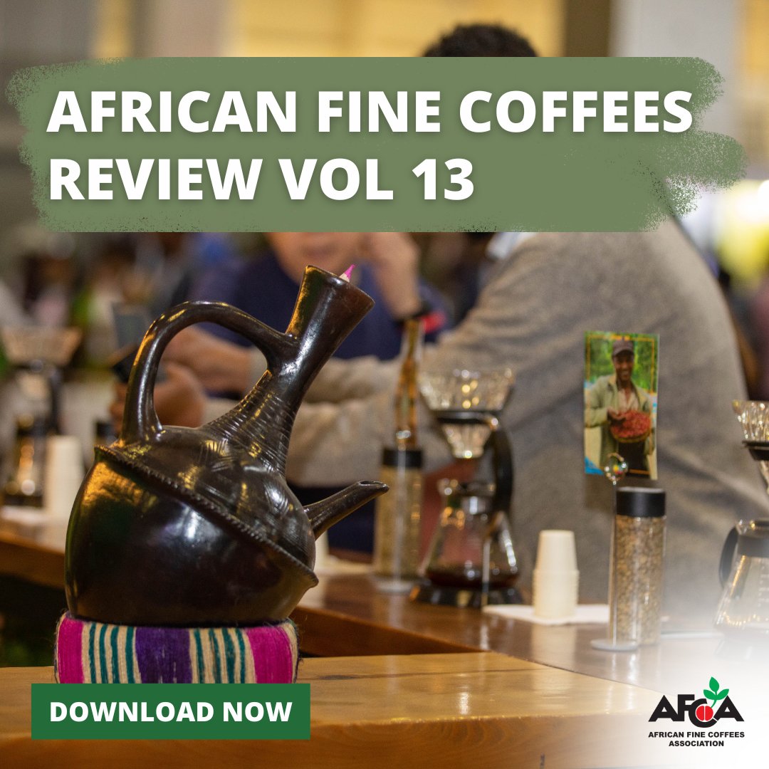 ✨ Volume 13 of the African Fine Coffees Review Magazine is finally here! Download your copy today ➡️ bit.ly/4csiiD6