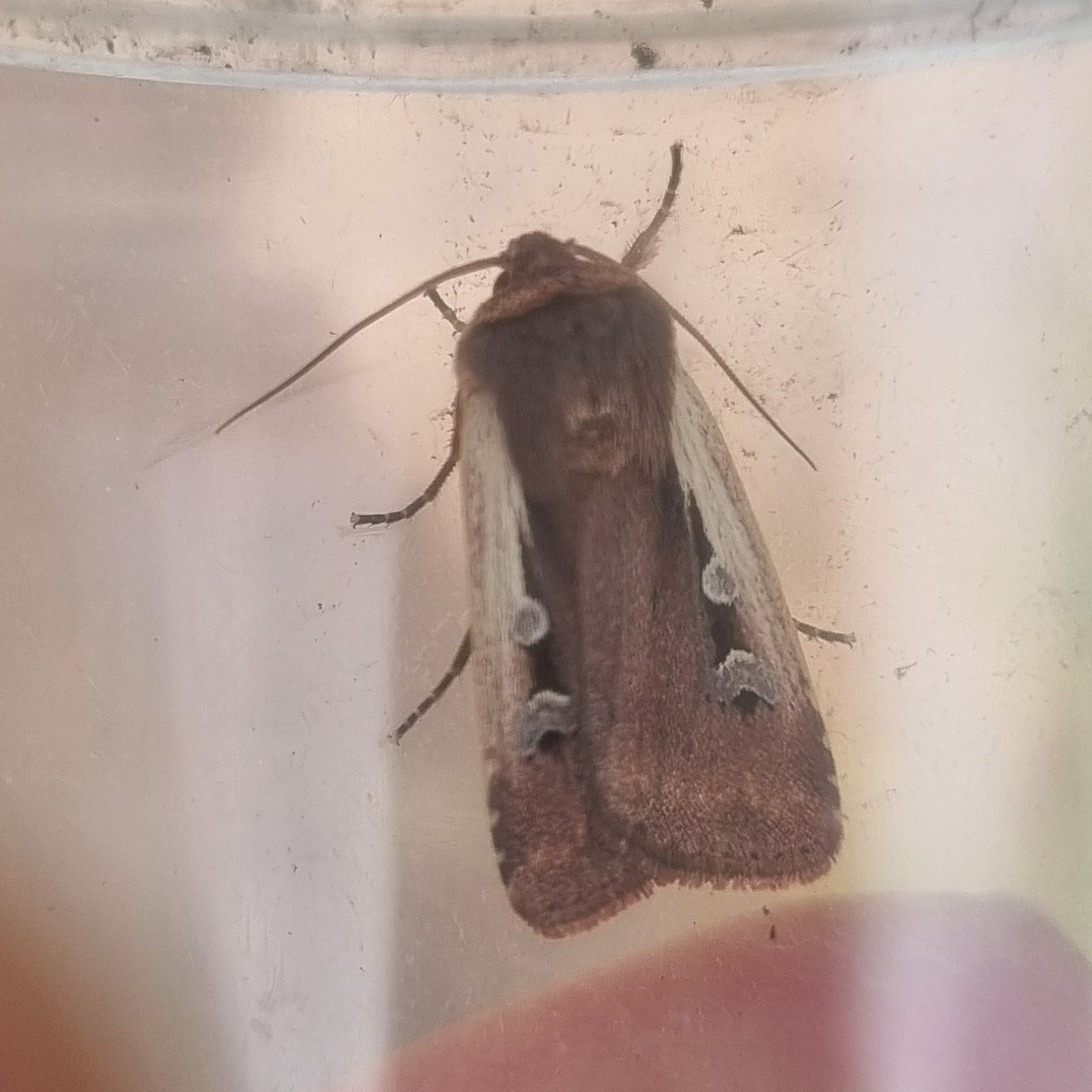 Becky Ward tweet media