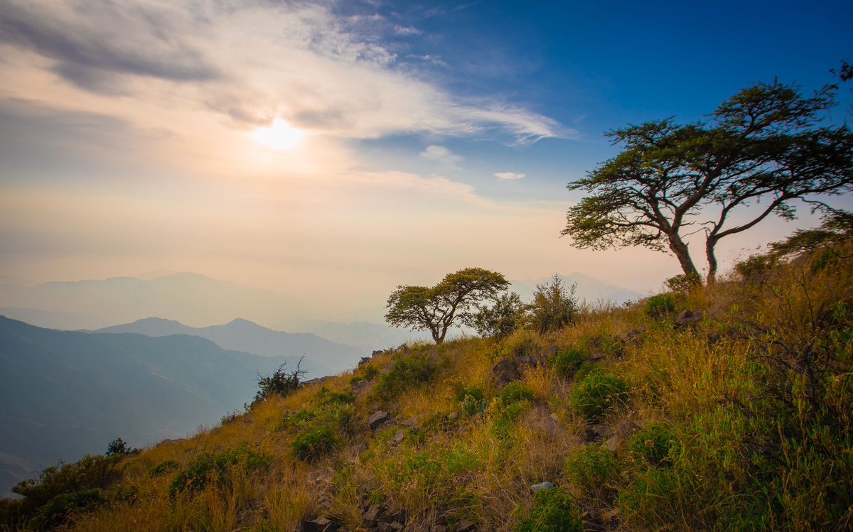 أبها، السودة ⛰️🍃