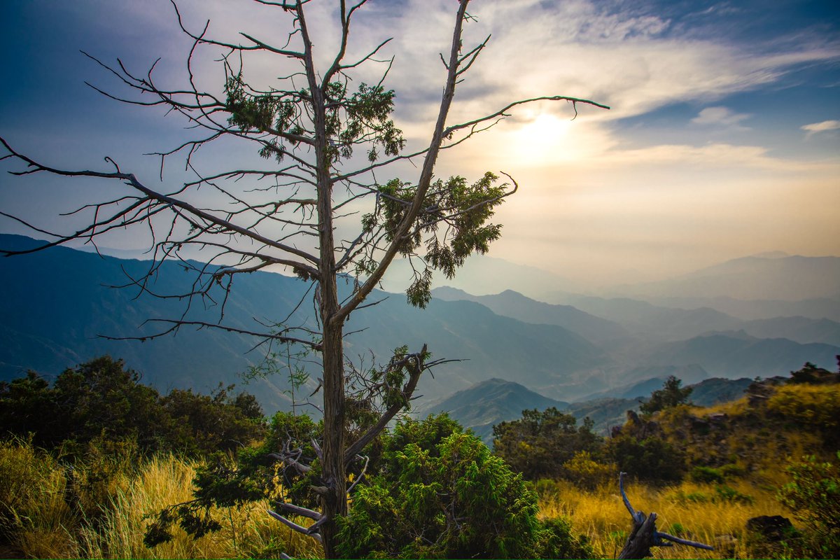 ADEEBALHAMMAD's tweet photo. أبها، السودة ⛰️🍃 https://t.co/GgFy6bJ9vS