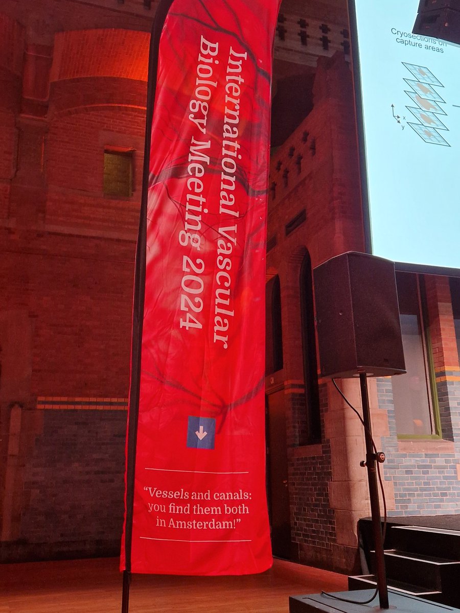 AlfonsHouben's tweet photo. #IVBM2024 is life @Amsterdam. It's all about (blood) vessels and canals! https://t.co/YFAznR2jRB