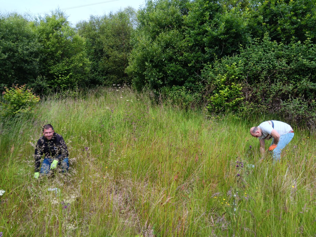 Becky Ward tweet media