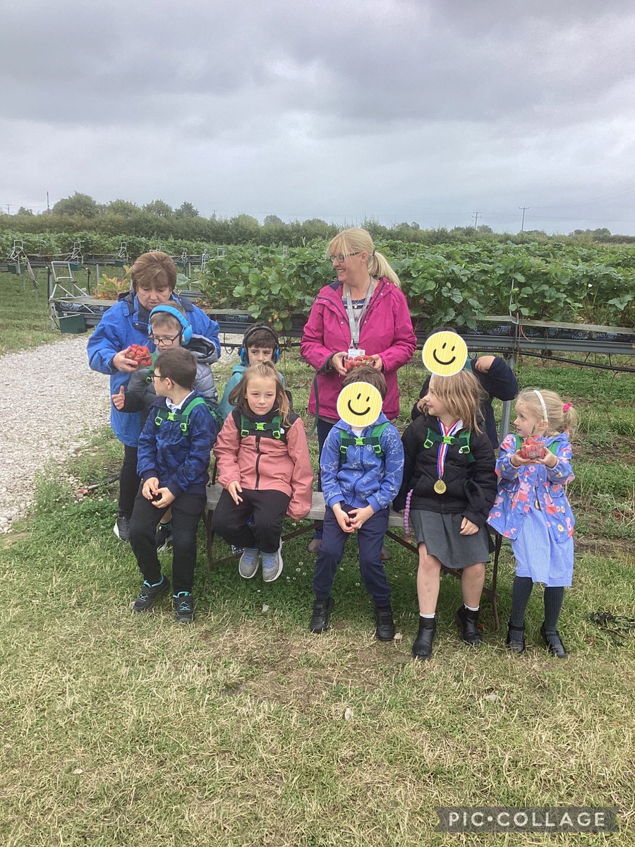 DeePointPine tweet media