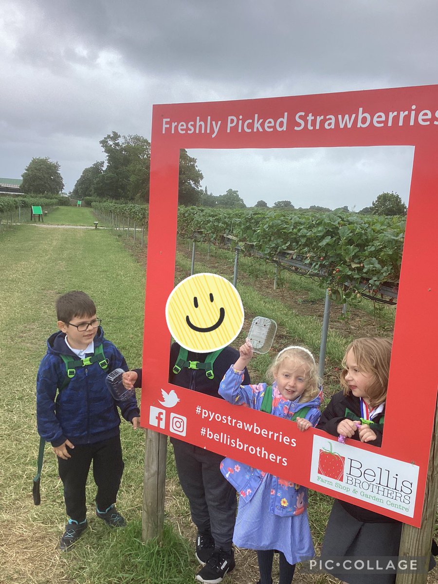 DeePointPine tweet media