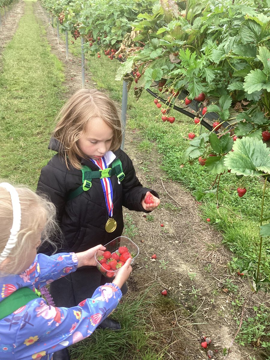 DeePointPine tweet media