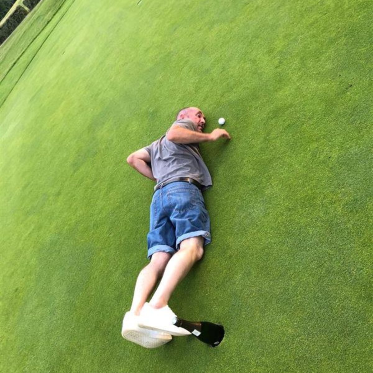 Bluegreen tweet media