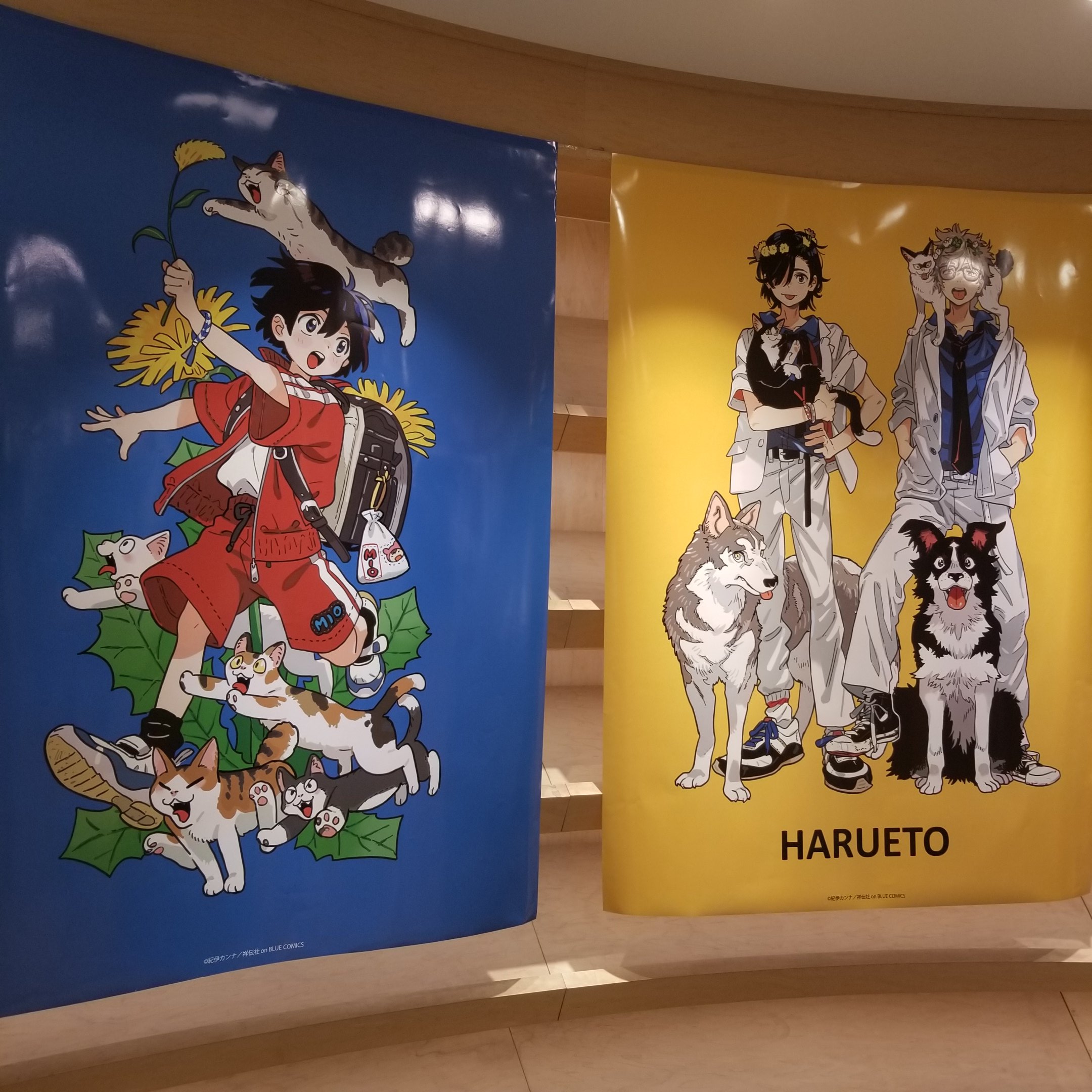 ★特選一品★ 不変✴︎完全✴︎達成の象徴♡【ヘブン&アース社『フェナカイト香』】❤ ☆特選一品☆ 不変✴︎完全✴︎達成の象徴♡【ヘブン&アース社