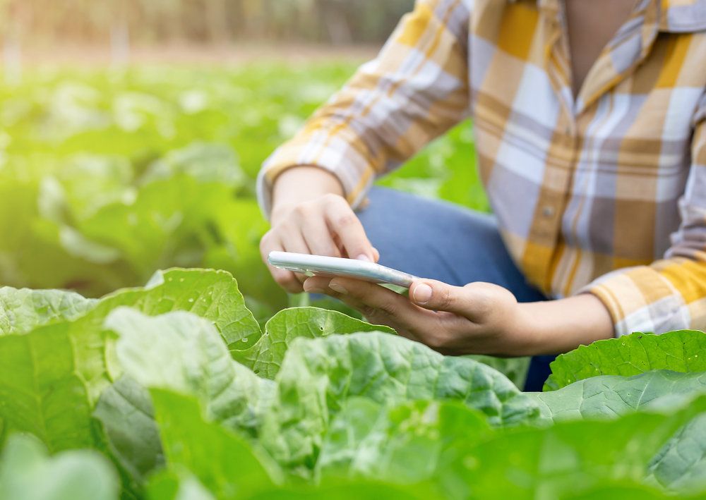 "L’emendamento sulle #TEA dia coraggio ai ricercatori italiani": così Clara Fossato che esprime soddisfazione per la proroga della sperimentazione in campo delle TEA.

Una soddisfazione condivisa anche dalla professoressa <a href="/vittoriabr/">vittoria brambilla</a>.

Scopri di più: buff.ly/3xwsbk9