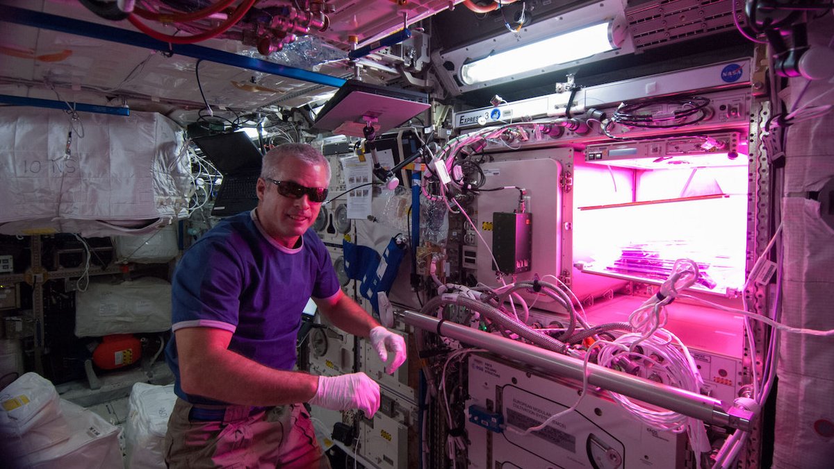 astrobiology's tweet photo. NASA Spaceline Current Awareness List #1,106 28 June 2024 (Space Life Science Research Results)
https://t.co/OF2FP4EaLI #spaceline #ISS #spacebiology #spacemedicine #astrobiology #microgravity #spacelifescience https://t.co/W3U1qfiNDw