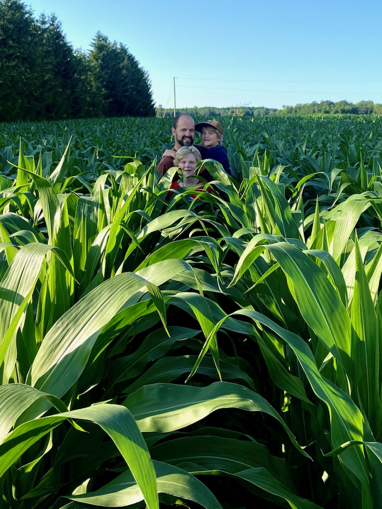 Made it to knee high by July. #corn, #ontag