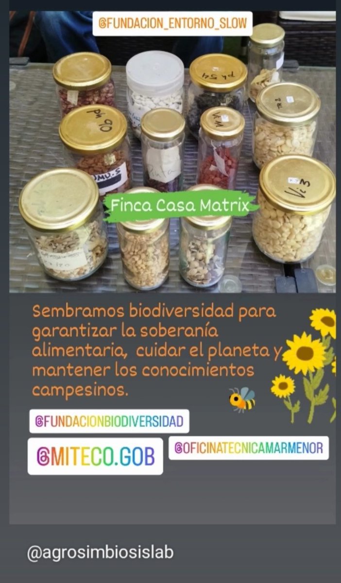 AgrosimbiosisLab (@agrosimblab) on Twitter photo 🌻🐝 Curso Sistemas Agroalimentarios de Base Agroecológica, módulo I: Introducción a la Horticultura
🍅🥕🫛🥒🍆
Preparando semillas para la siembra 🌱🌱🌱
Cuenta con el apoyo de <a href="/FBiodiversidad/">Fundación Biodiversidad</a>
<a href="/OficinaMarMenor/">Oficina Técnica del Mar Menor</a> <a href="/mitecogob/">Transición Ecológica y Reto Demográfico</a> #MiMarMenor 🌻🐝 Curso Sistemas Agroalimentarios de Base Agroecológica, módulo I: Introducción a la Horticultura
🍅🥕🫛🥒🍆
Preparando semillas para la siembra 🌱🌱🌱
Cuenta con el apoyo de <a href="/FBiodiversidad/">Fundación Biodiversidad</a>
<a href="/OficinaMarMenor/">Oficina Técnica del Mar Menor</a> <a href="/mitecogob/">Transición Ecológica y Reto Demográfico</a> #MiMarMenor