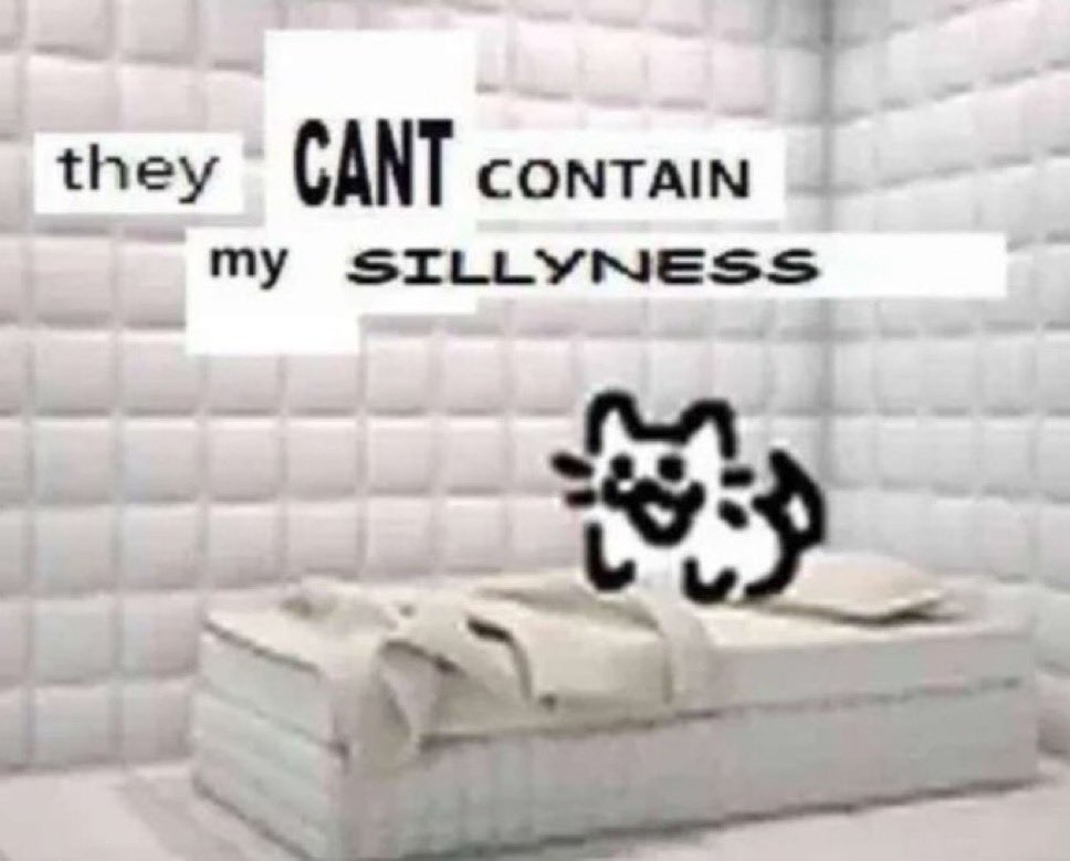 LiterallyMeCats (@literallymecats) on Twitter photo 