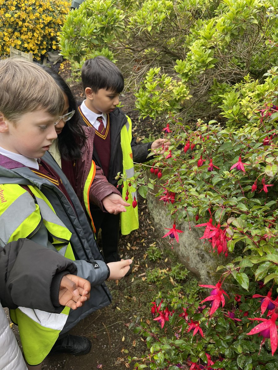 Anfield EY tweet media