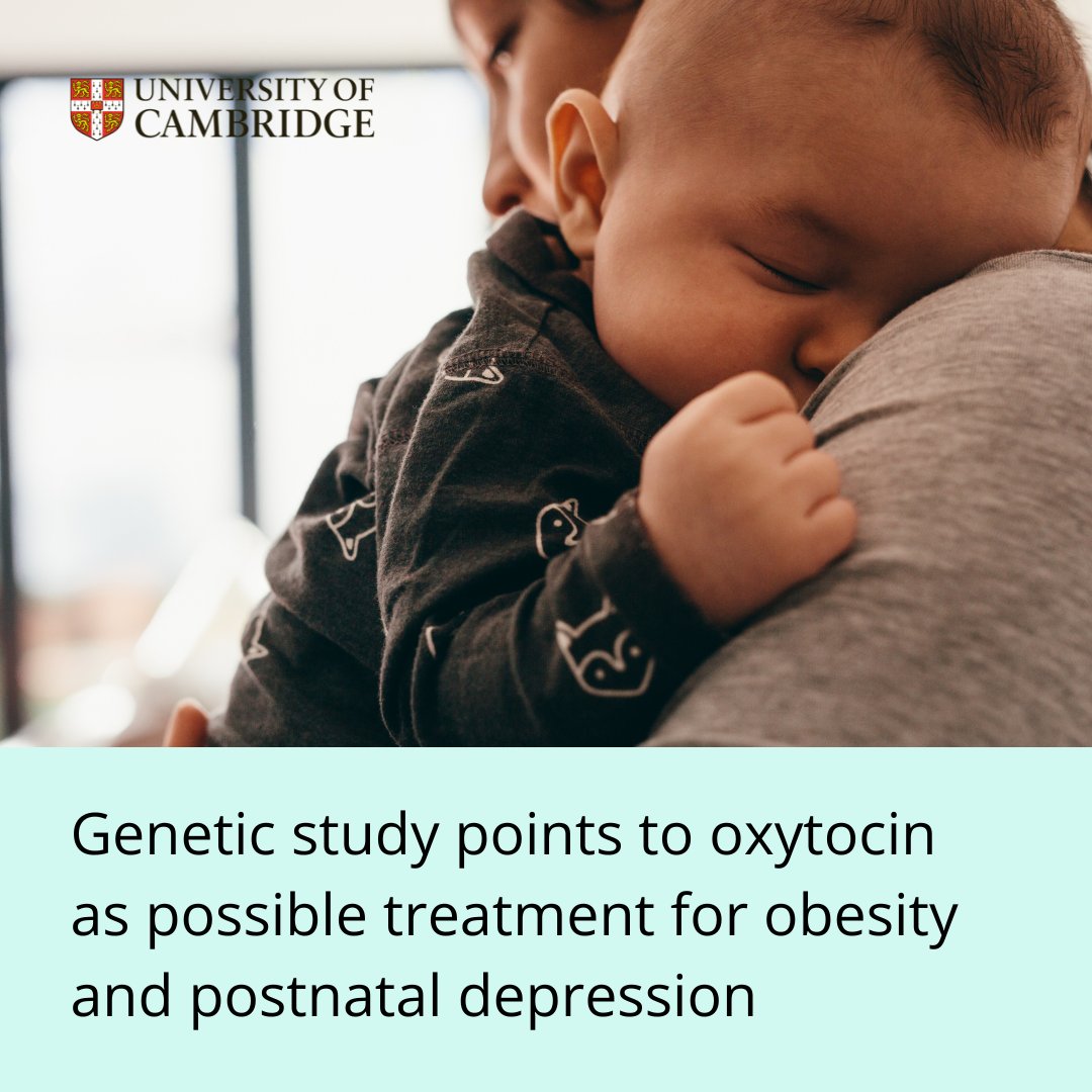 Cambridge University (@cambridge_uni) on Twitter photo Could oxytocin - the 'love hormone' - help treat postnatal depression?
Scientists <a href="/IMS_MRL/">Inst Metabolic Science-Metabolic Research Labs</a> <a href="/bcmhouston/">BCMHouston</a> have found a gene that can cause obesity & postnatal depression when impaired.
Follow-up work in mice suggests oxytocin may alleviate these symptoms.
cam.ac.uk/research/news/… Could oxytocin - the 'love hormone' - help treat postnatal depression?
Scientists <a href="/IMS_MRL/">Inst Metabolic Science-Metabolic Research Labs</a> <a href="/bcmhouston/">BCMHouston</a> have found a gene that can cause obesity & postnatal depression when impaired.
Follow-up work in mice suggests oxytocin may alleviate these symptoms.
cam.ac.uk/research/news/…