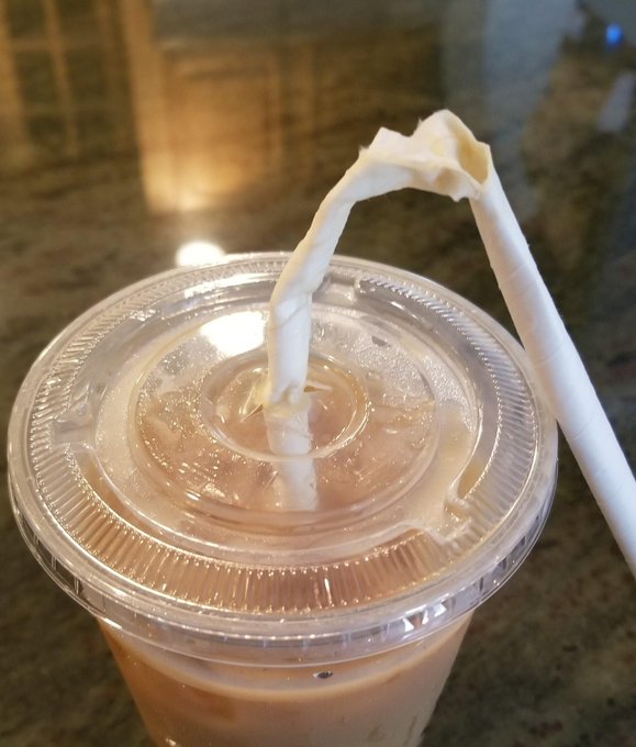 BowTiedMara tweet media