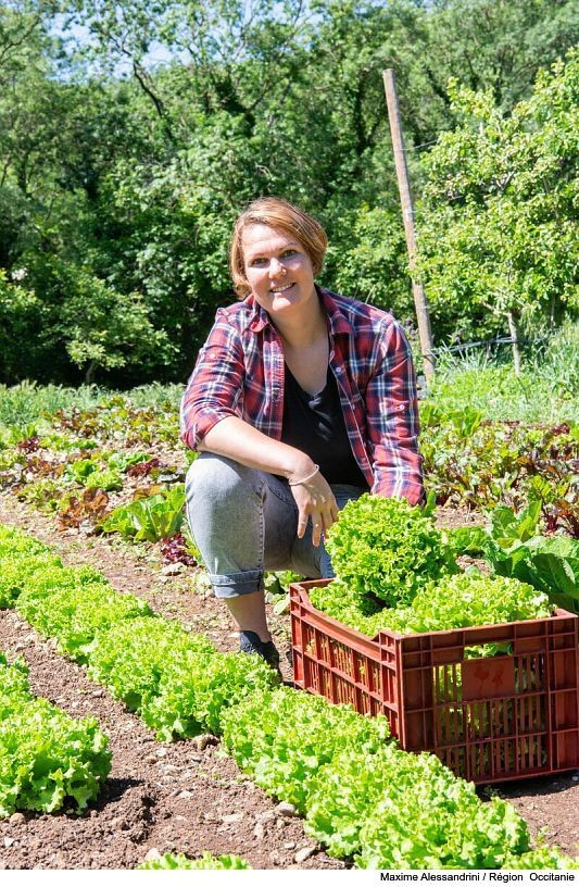 Région Occitanie tweet media