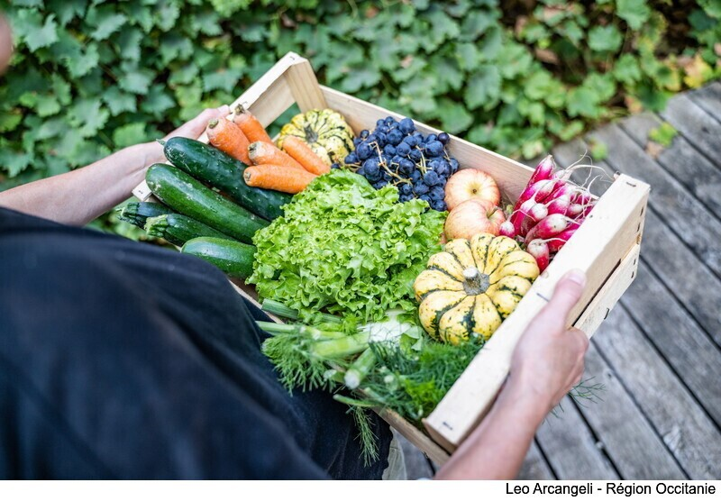 Région Occitanie tweet media