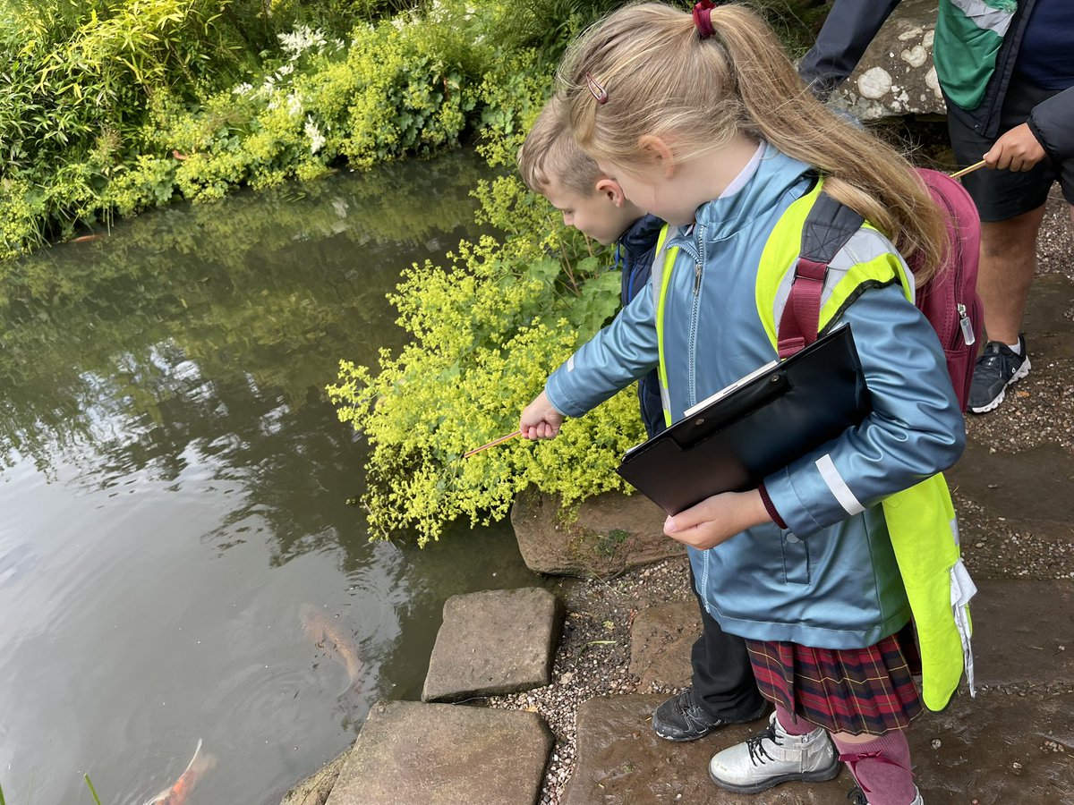 Anfield EY tweet media