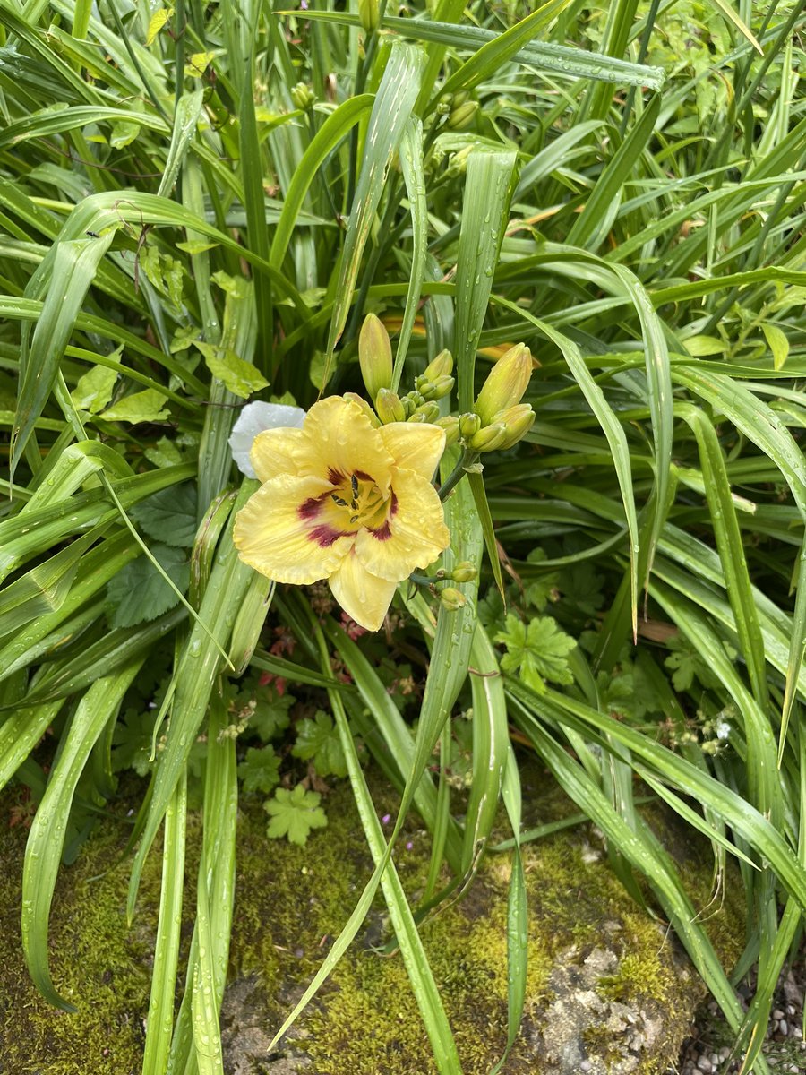 Anfield EY tweet media