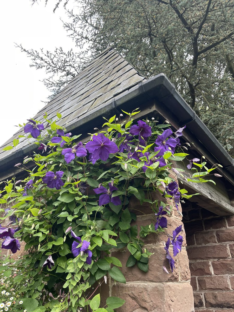 Anfield EY tweet media