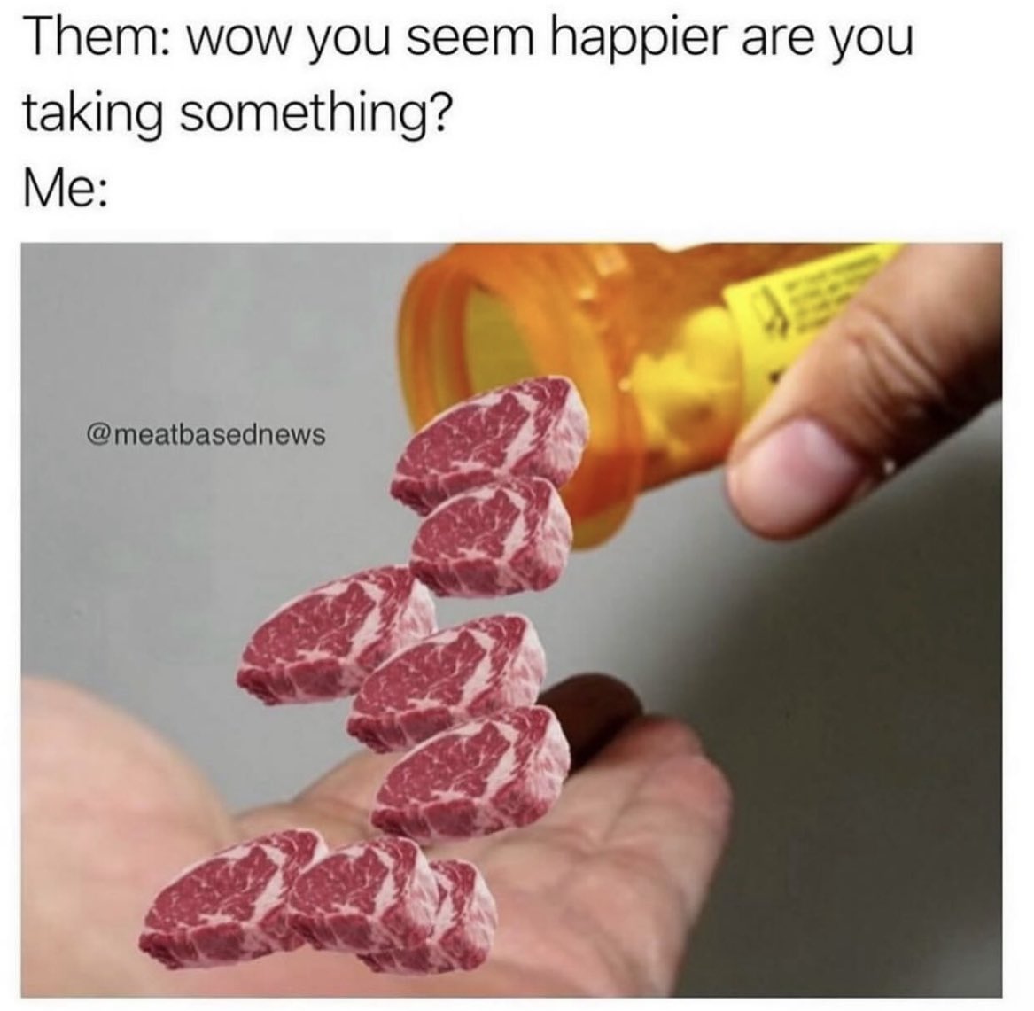 Carnivore Aurelius ©🥩 ☀️🦙 (@alpacaaurelius) on Twitter photo 