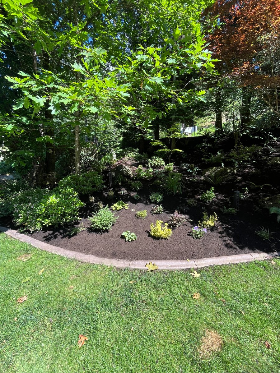 denbowltd's tweet photo. The perfect mulch installation, with the perfect cleanup! It's the Denbow Difference 😁 #Denbow #Expressblower #mulch #summer https://t.co/v44lBCdJL3
