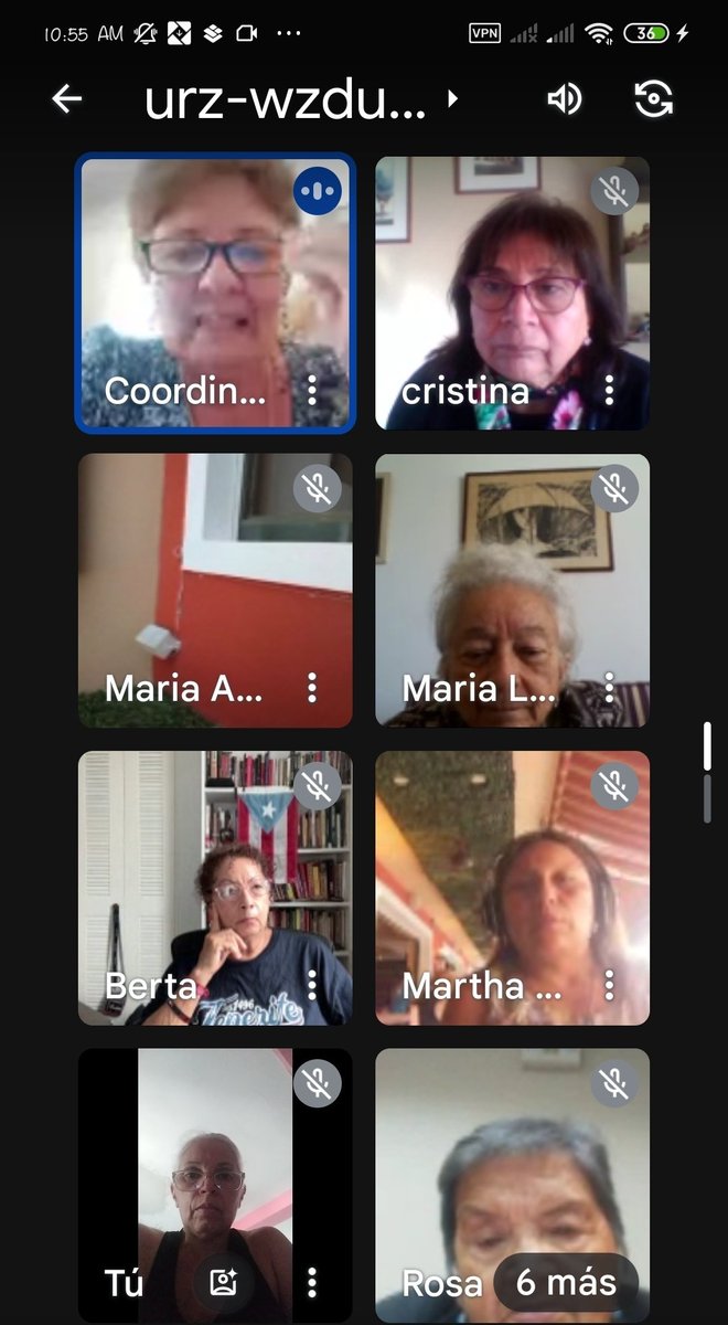 #2Julio 
Momentos del desarrollo de la reunión virtual de la FDIM América y el Caribe.
Sobre los acuerdos y plan de acción producto de la VIII Conferencia de la Región