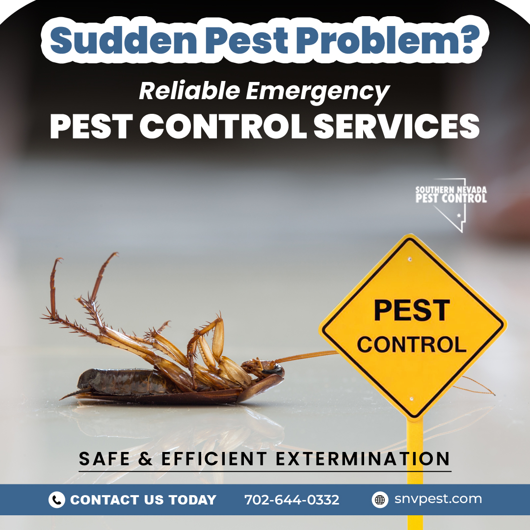 SNVPest's tweet image. Unwanted guests in your home? When pests invade, it’s a nightmare! #SouthernNevadaPestControl offers Emergency Services to tackle any pest problem, anytime. From roaches to scorpions, we’ve got you covered! 📞 702-644-0332 or 💻 snvpest.com! #EmergencyPestControl