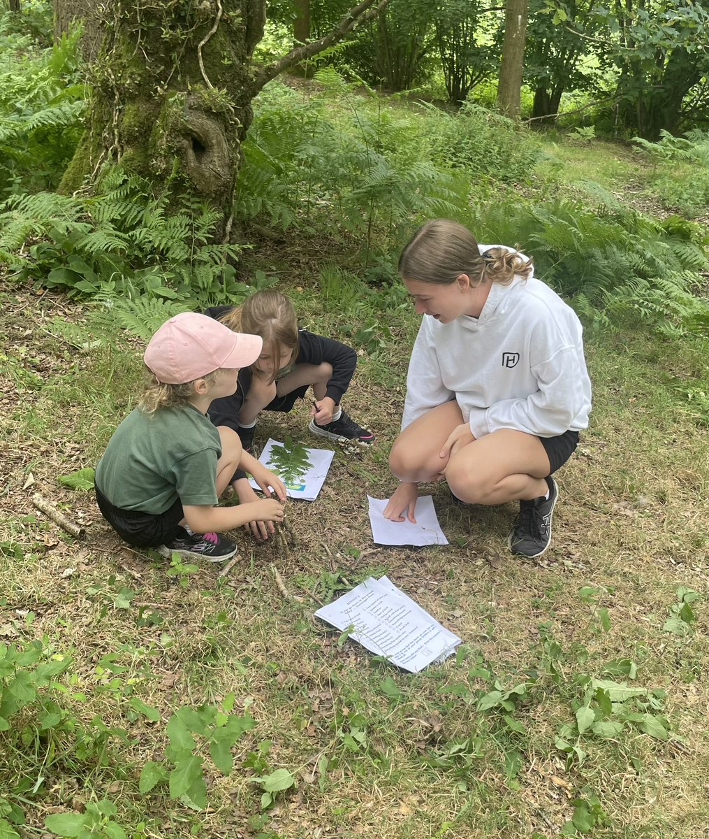 Downe House Geography tweet media