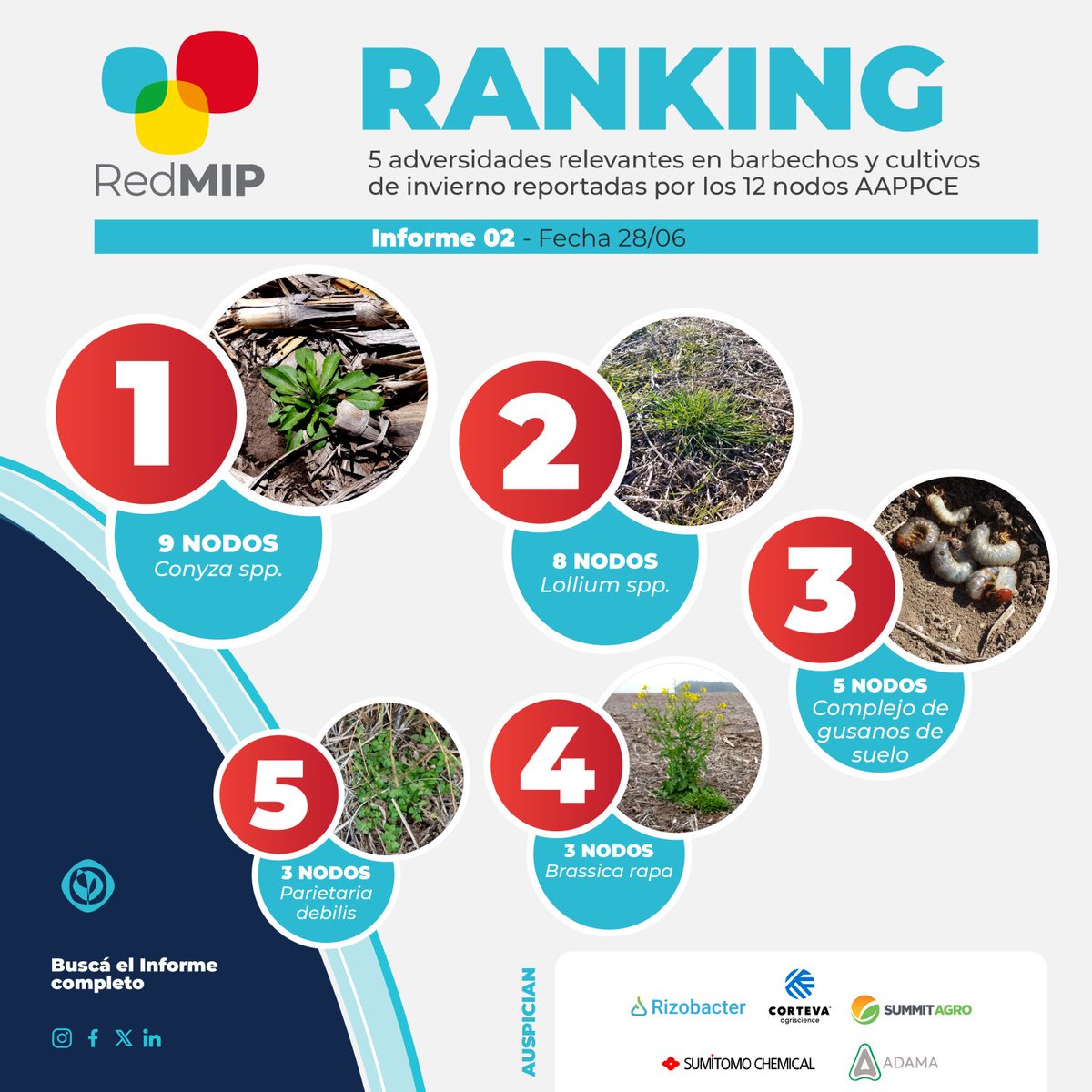 AAPPCE's tweet photo. 🏆🌿🆙 #RankingRedMIP de plagas y adversidades presentes en las 12 zonas de influencia de los #NodosAAPPCE.
🌿🐛 No te pierdas el top 5 según los datos de monitoreos a campo y las recomendaciones en el #InformeRedMIP 2 👉 https://t.co/ZQcIKyaCCL https://t.co/0QsbiJsxKN