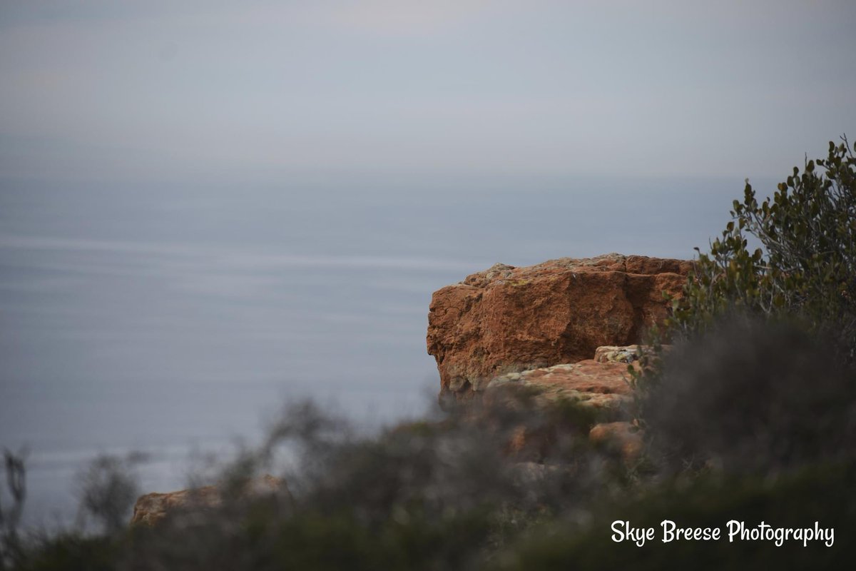 VJ16157349's tweet photo. #photography #myphotography #events #powwows #landscapes #texas #newmexico #california #SKYEBREESE https://t.co/QoTk0QzyPp