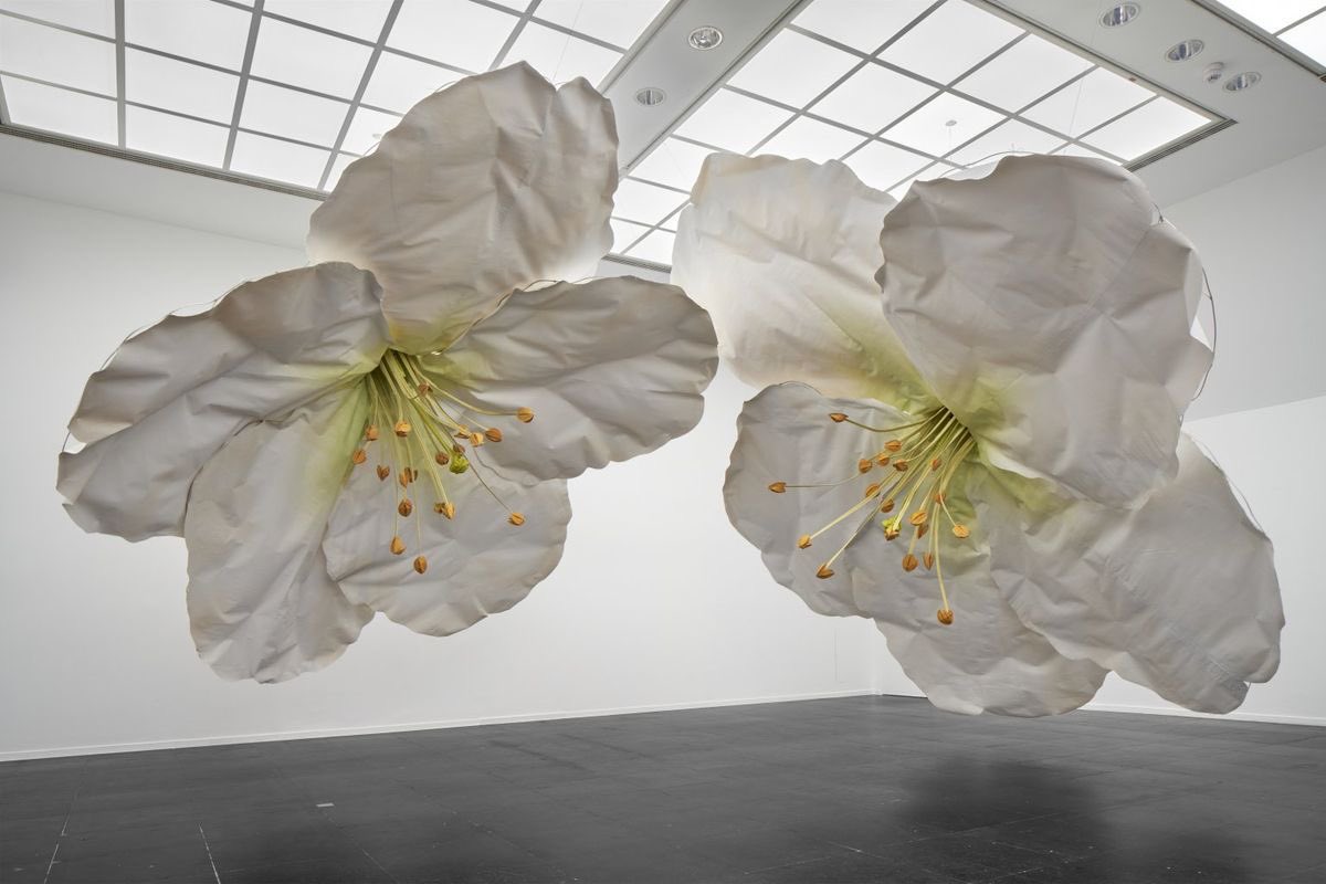 6len0022's tweet image. been staring at this beautiful pic since morning